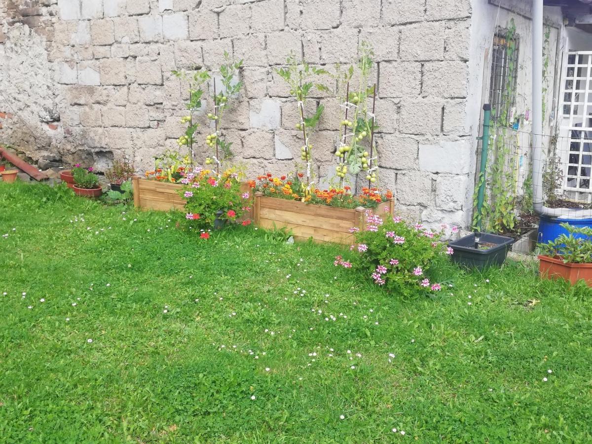 Apartmán Petra Kovářská Kültér fotó